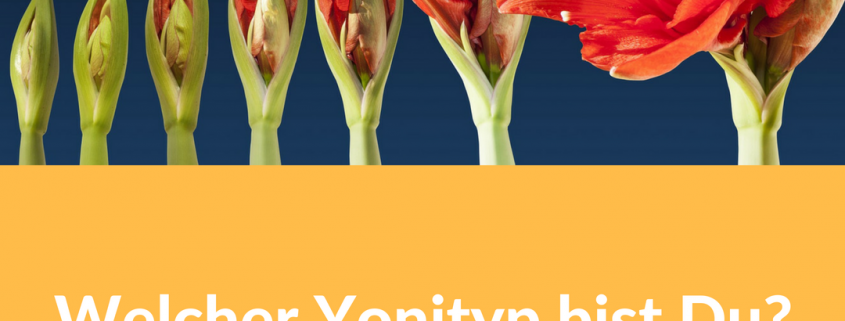 Blüten Knospen - Welcher Yonityp bist du?